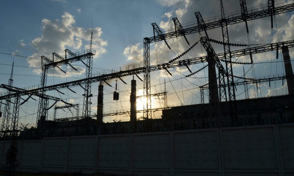 pexels-daryana-vasson-269815074-12809142