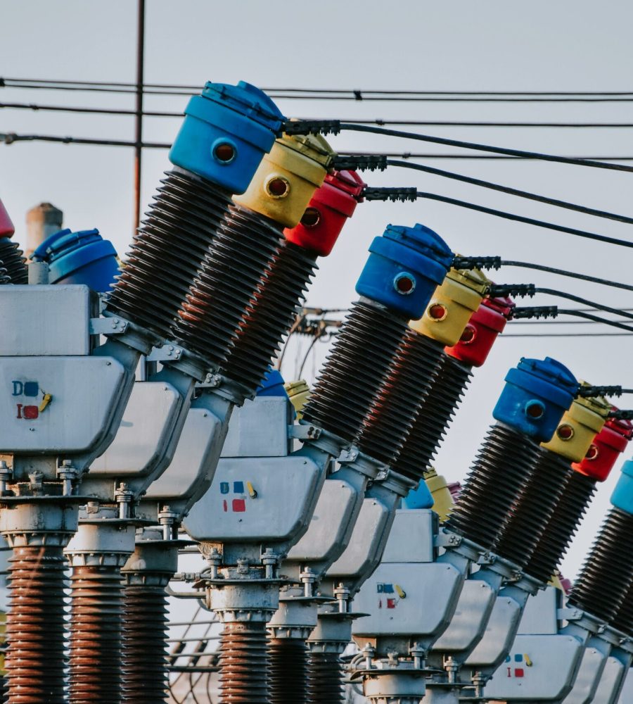 pexels-didsss-7867332